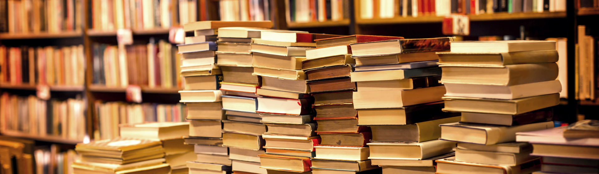 imgbiblioteca